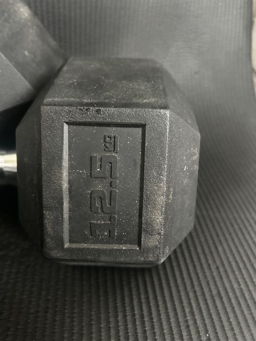 Hantle stalowe gumowane 12, 5 kg