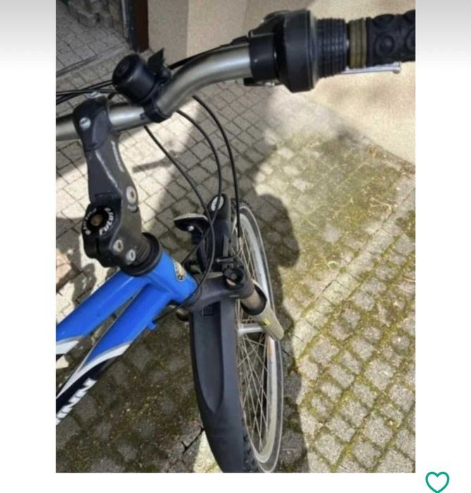 Rower damski Schwimm