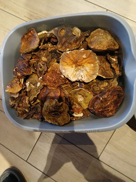 Grzyby  Prawdziwki suszone