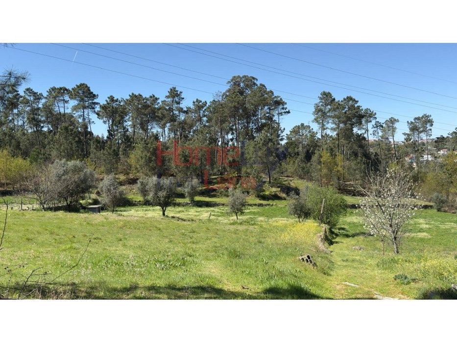 Terrenos em S. João de Lourosa, Viseu