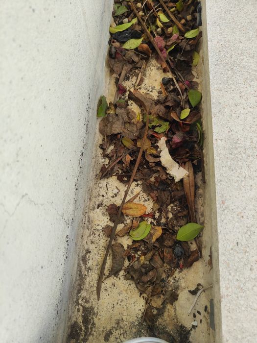 Limpeza de algerozes