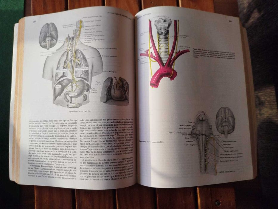 Anatomia e fisiologia humana de Jacob Francone Lossow