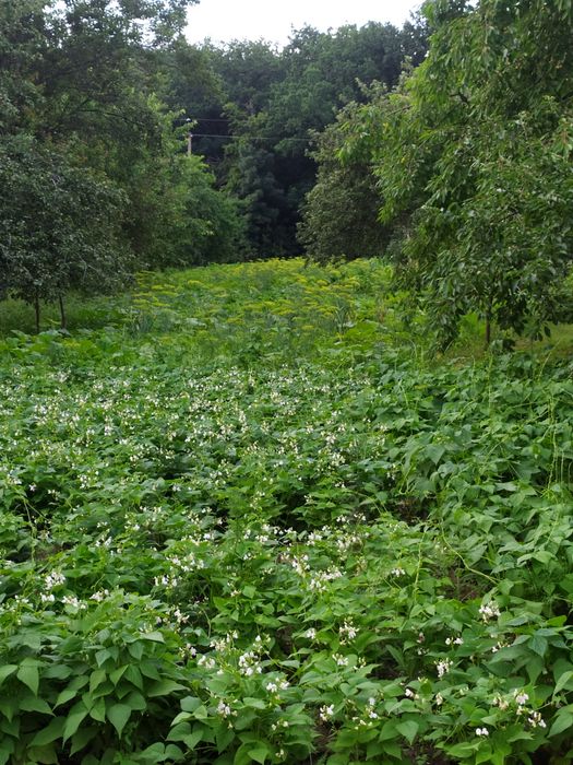 Продам уютный дом!!!