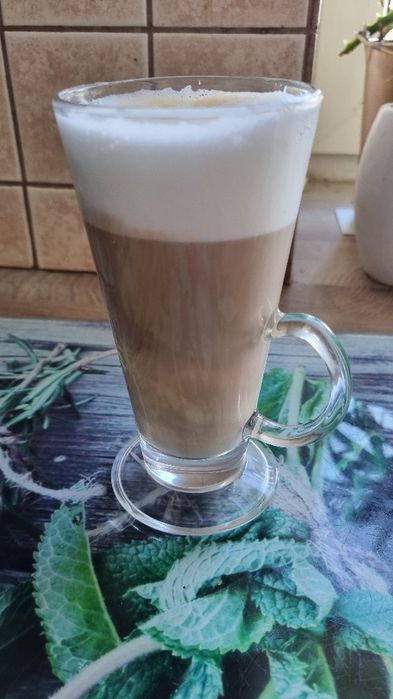 Ekspres DELONGHI EC 860.M kolbowy