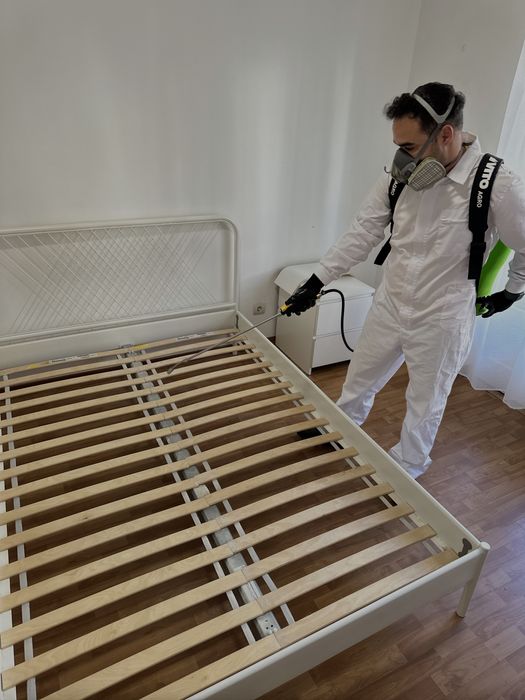 Desinfestacao controlo de pragas PERCEVEJO PULGAS RATO BARATA TERMITAS