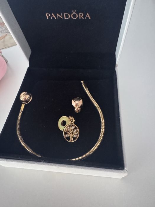 Pulseira, pendente e charme