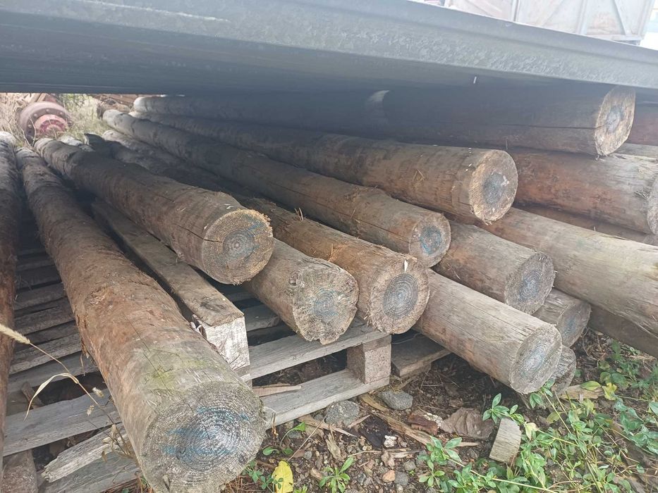 Бродам брус 100х100 2.5 м також кругляк 200-150 мм діаметр 4 метровий