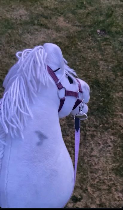 Hobby horse A3