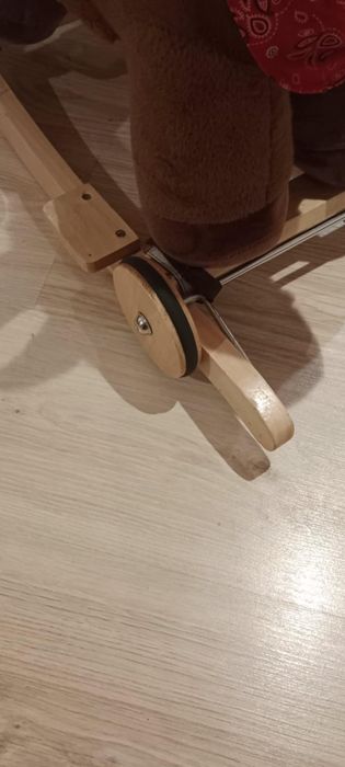 Koń na biegunach
