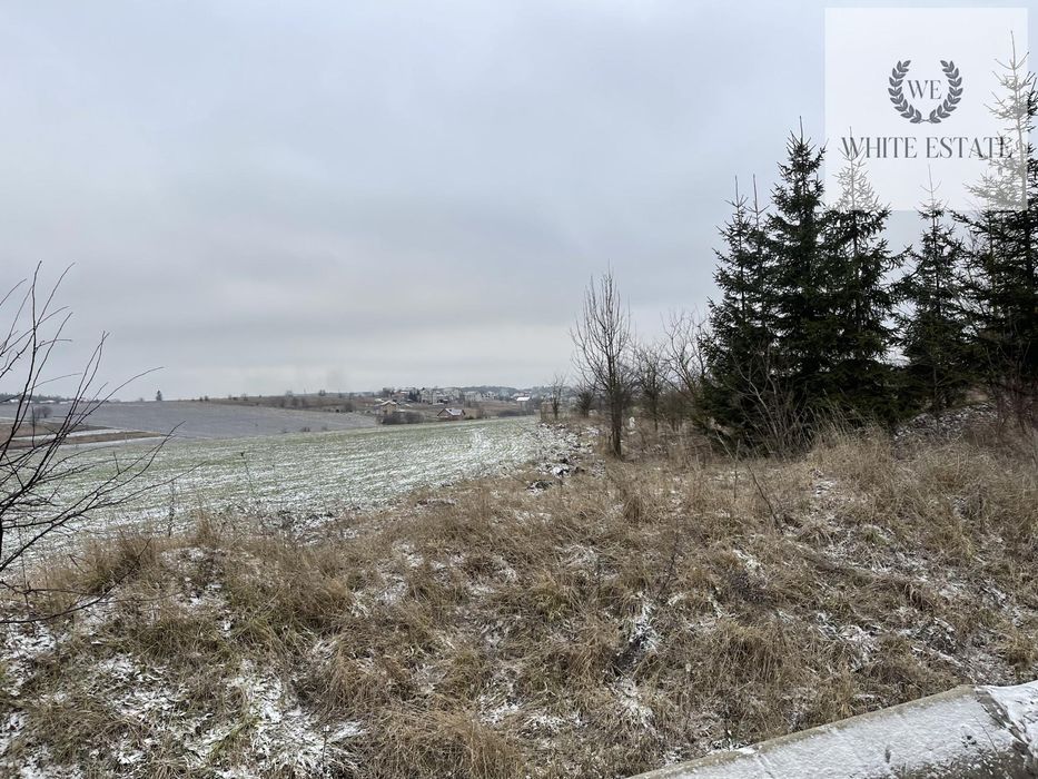 Оренда ділянки біля дороги с.Мишковичі