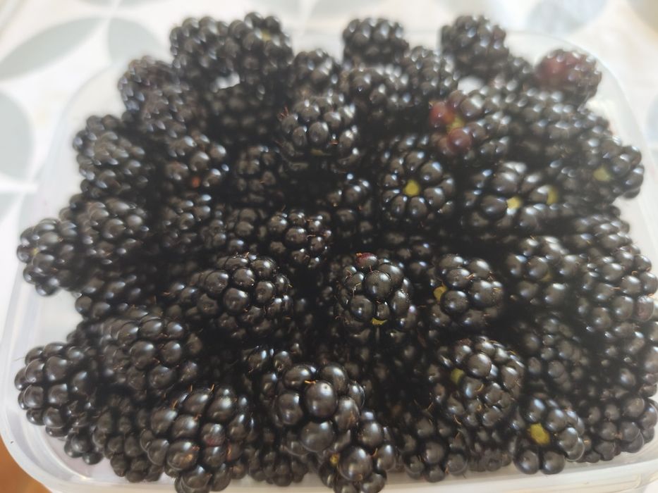 Amoras caseiras sem químicos 7€KG