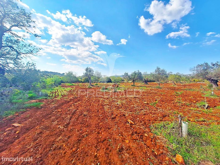 Terreno Rustico em Loulé com acesso directo — Quarteira, Faro