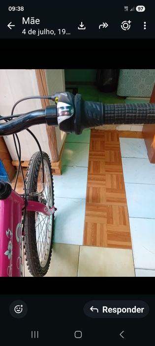 Bicicleta feminina