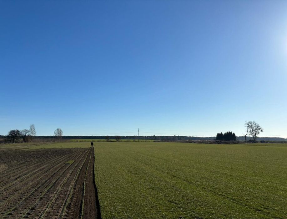 40m² Trawa z rolki – Gęsta, Zielona, Bez Chwastów | TRANSPORT