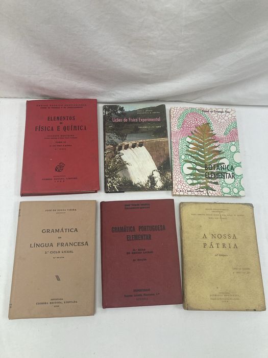 Livros vários, Os Filhos dos Toxicodependentes de J. Martins Palminha