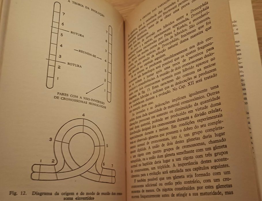 A Teoria da Evolução - John Maynard Smith (portes incl.)