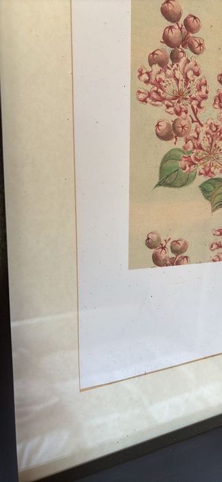 Quadros IKEA moldura preta com flores