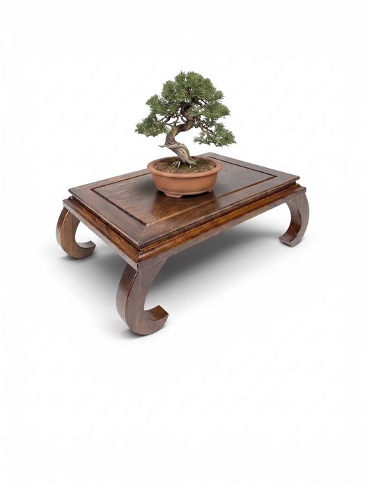 Stolik pod Bonsai - Lity Wiąz