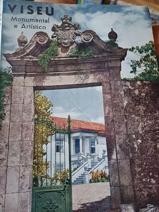 Viseu monumental e artistico