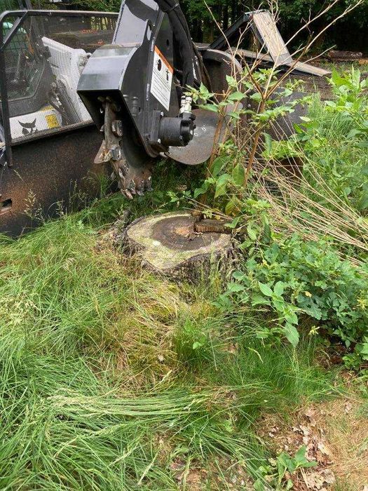 Frezowanie -Mulczer-Wycinka-NIwelacja-Trawnik-Montaż Szamba-Ogrodzeń