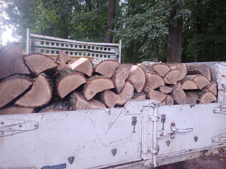 Drewno kominkowe brzoza , tanio, uczciwie