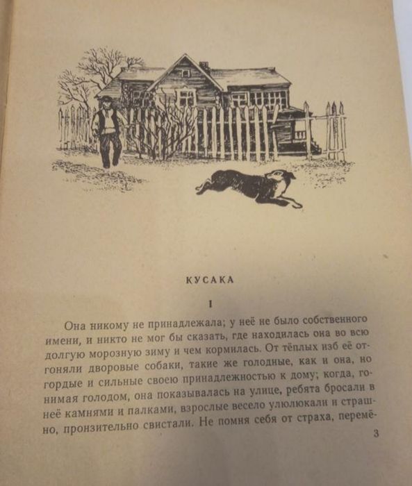 Ід стан 1967 Л.Н.Андреев Петька на даче. Кусака