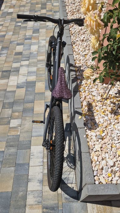 Dirt Checker Pig Flying Pig 26"