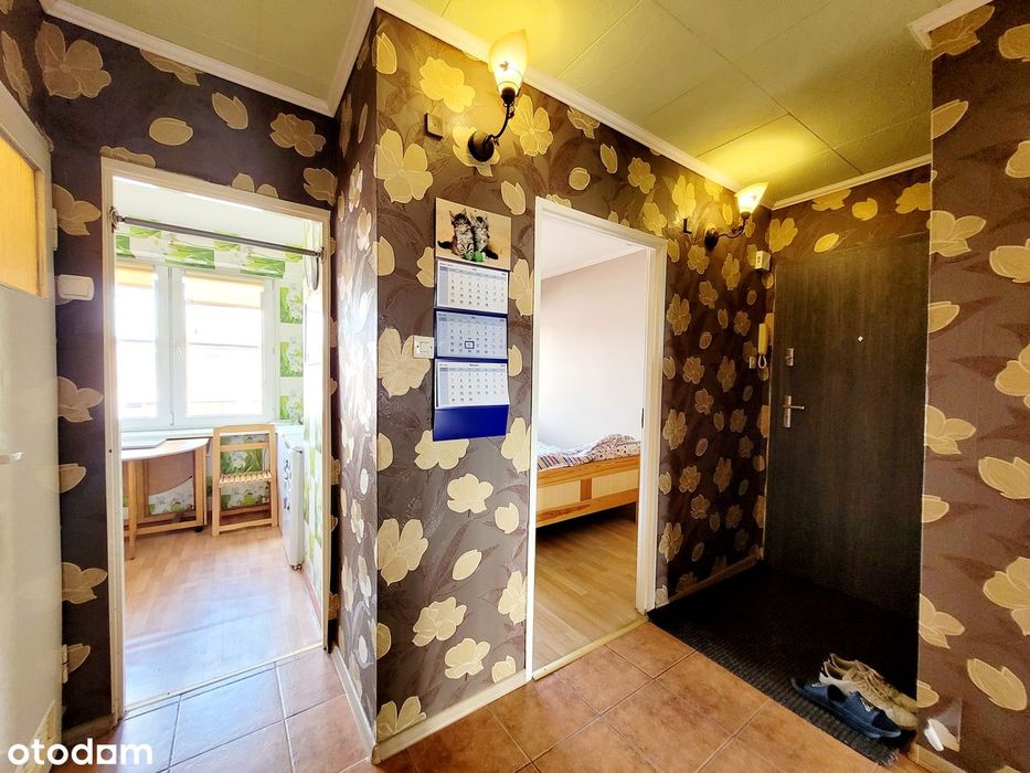 Najtańsze 4pokoje w mieście!!! – pohled 5