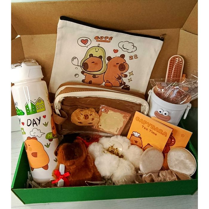 Прикольний набір Капібара, подарунок день народження, бокс . Пишіть.
