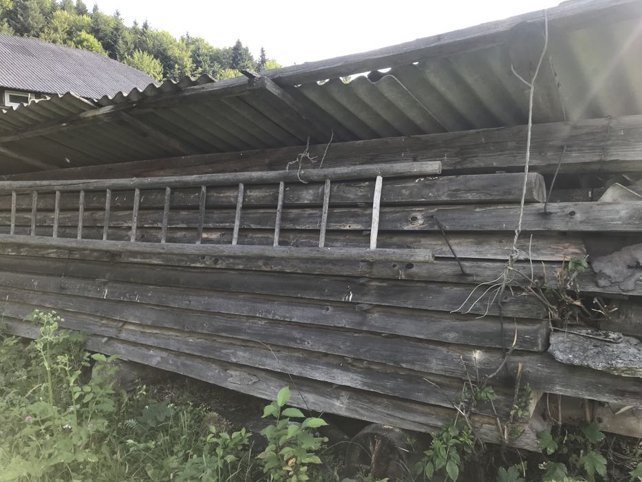 Брус, дошка необрізна різне