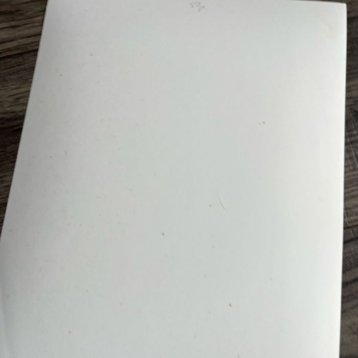 Back to the Future Michael J fox