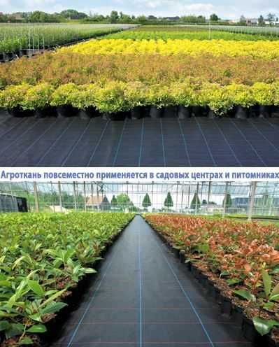 Агротканина, щільність 70, 90, 110, 135 г/м². Ширина 0.4 - 3,2м