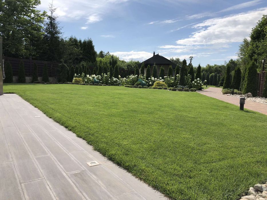 Посівний та рулоний газон