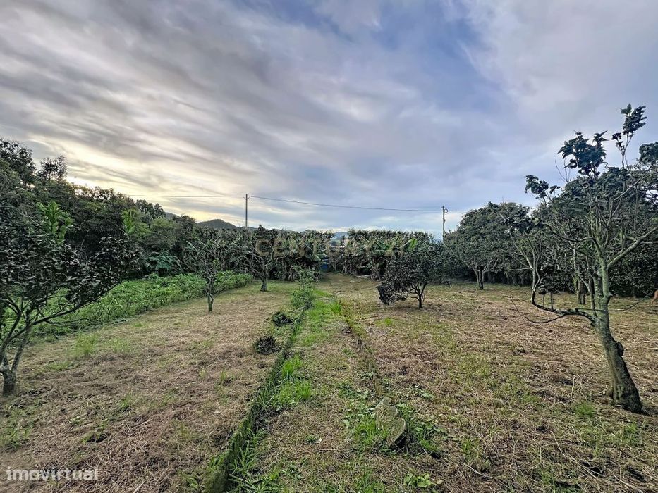 Terreno, Pico da Pedra