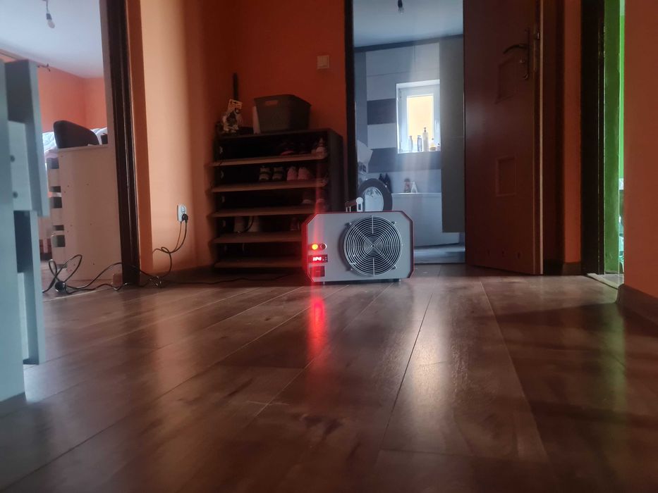 Dezynfekcja, dezynsekcja, deratyzacja, ozonowanie, odgrzybianie ścian