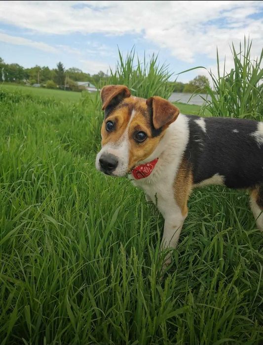 Rio - do zakochania jeden krok! :)