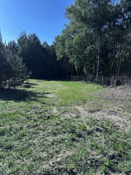 NA SPRZEDAŻ – DZIAŁKA 1829 m²  | Media w pobliżu | Atrakcyjna  okolica - View 5