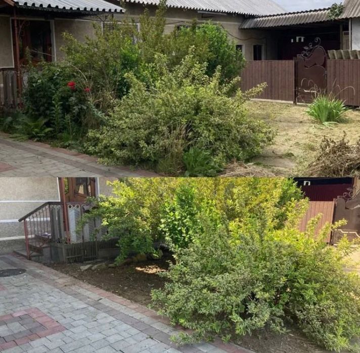 чистка ділянок, обрізка дерев