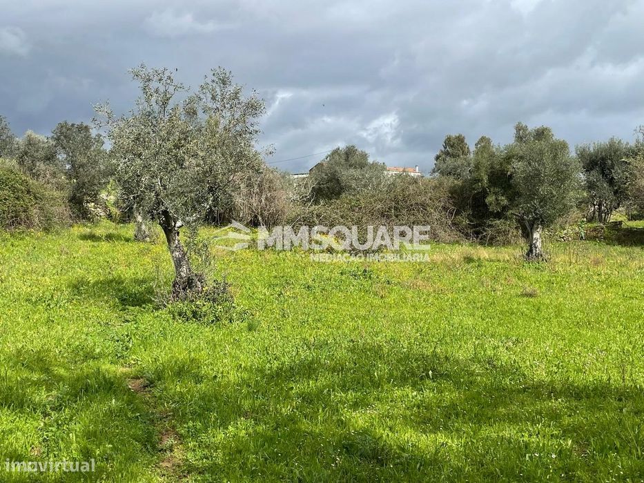 Herdade T2 Venda em Ourique,Ourique