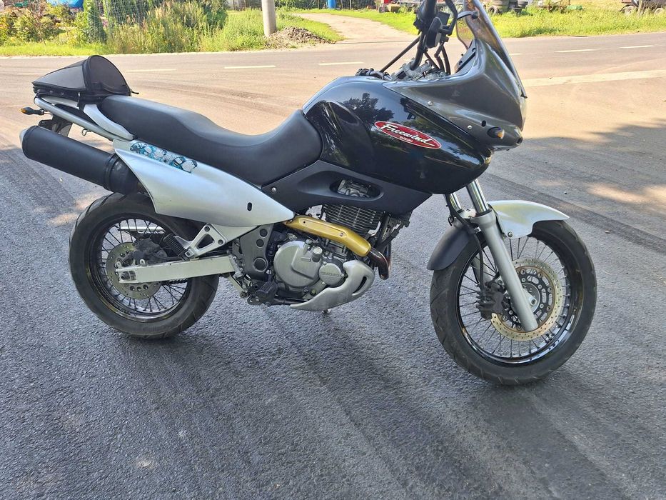 SUZUKI xf 650 freewind