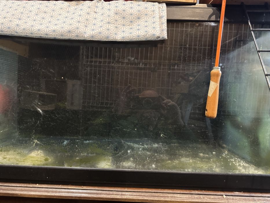 Aquario para peixes marinhos