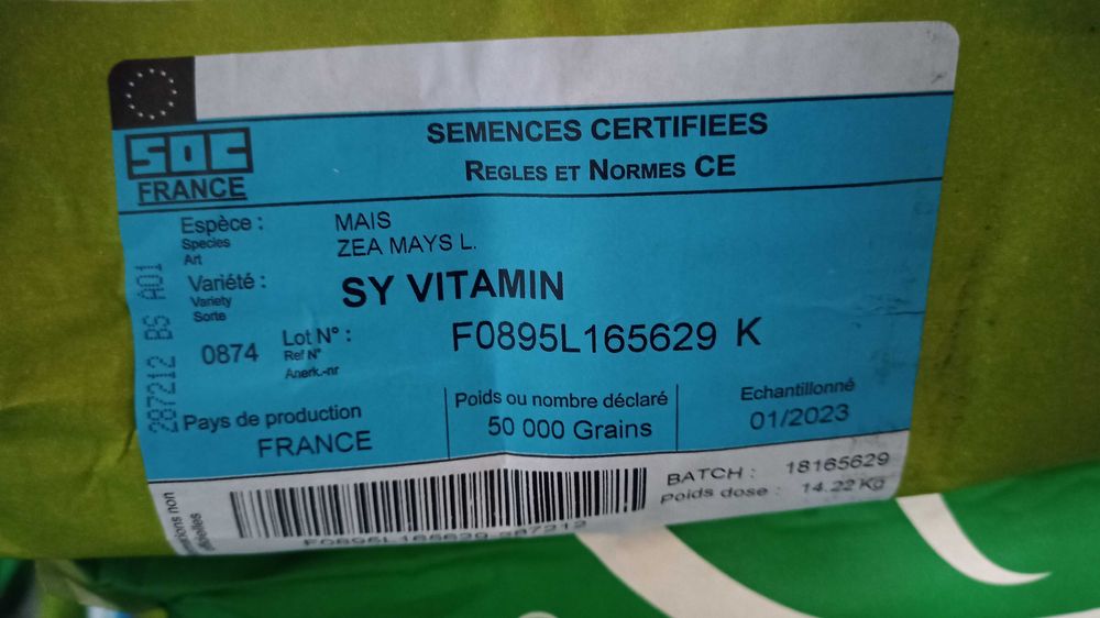 Kukurydza SY Vitamin  Promocja 10 + 1