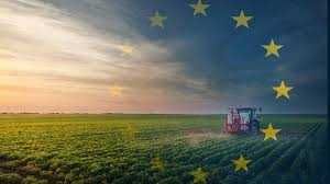 Dotacja Premia Młody Rolnik – 300 tys. zł. Wypełnianie wniosków ARiMR