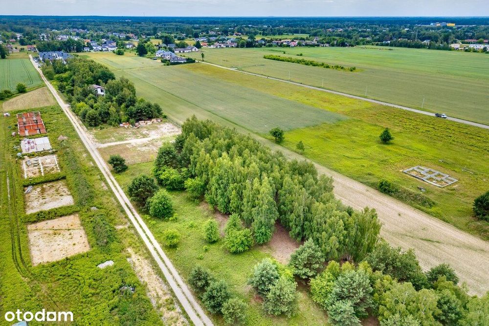Działka 3000 m² z potencjałem inwestycyjnym – Bory