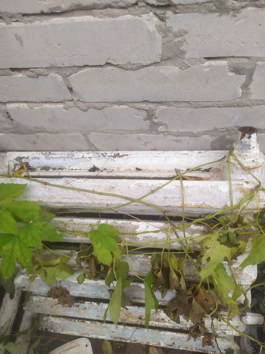 Чугунные радиаторы