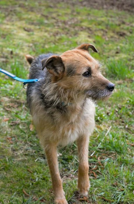 Dasz szansę grafiemu?