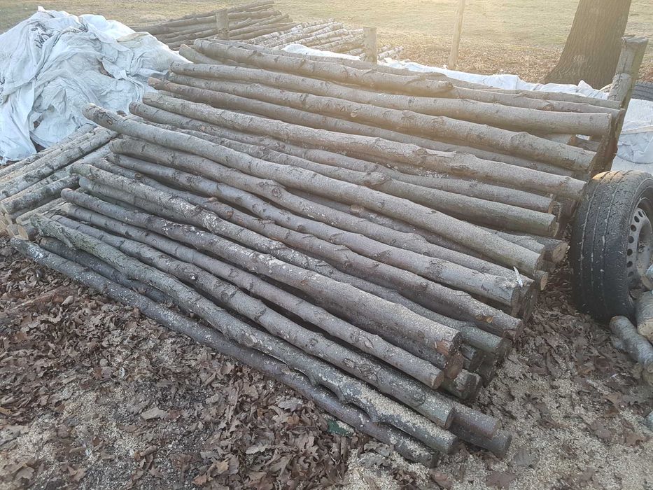 Stemple Budowlane 2.40m Średnica 7-9 cm Sosna Olcha