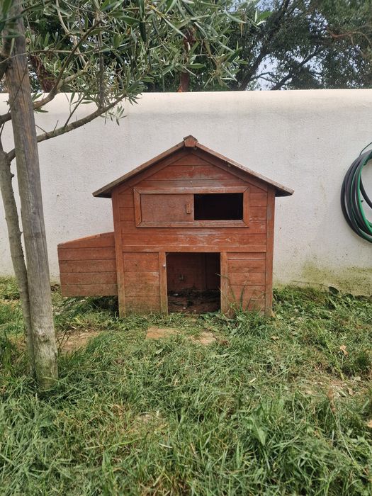 Galinheiro em madeira, usado