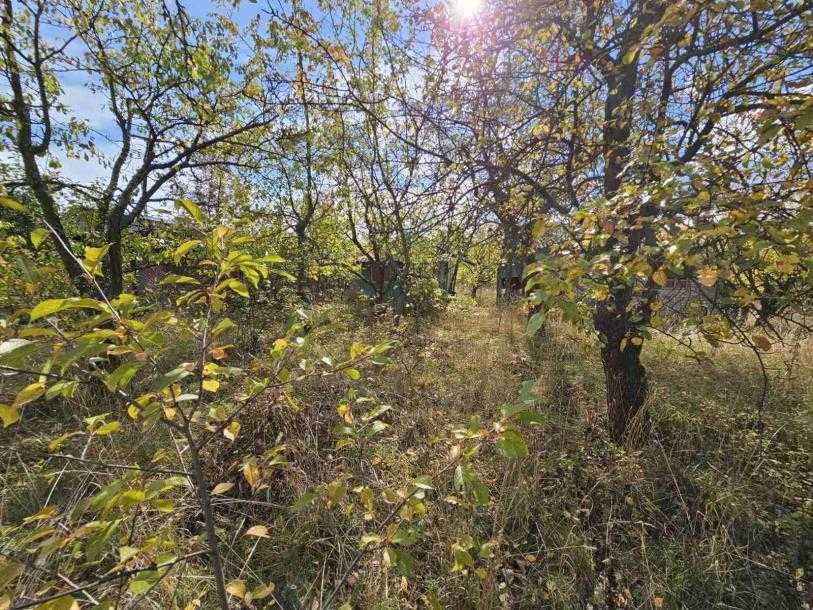 ПРО*дам! дачу с приватизированным участком