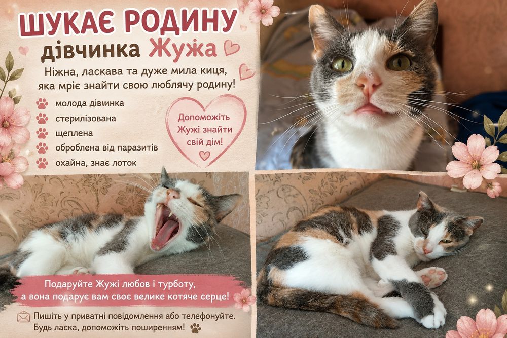 Дівчинка евакуйована з Запорізької обл шукає відповідальних батьків